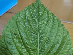 -丰茂烤串(全国首店)