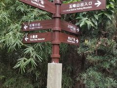 -铁山坪森林公园