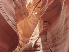 -科罗拉多大峡谷