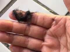 -UNIQLO(朗豪坊店)