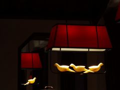 -大鸽饭(岗顶店)