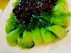 素海参扒菜心-功德林(南京西路店)