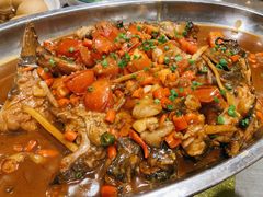 -鲜榨果汁·啤酒鱼(环岛河店)