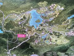 -深圳仙湖植物园