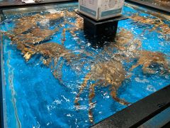 -盒马鲜生(王府广场店)