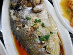 -七鲜渔港美食餐厅(巽寮湾海景店)