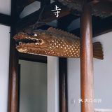 杭州周边游｜海拔520米的径山寺🍃十分幽静