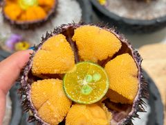 -品海楼·大连海胆锅贴馆(东港店)