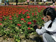 -广东花都香草世界旅游度假区