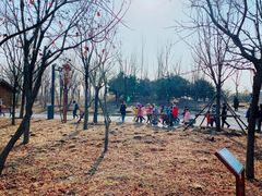 -东郊湿地公园