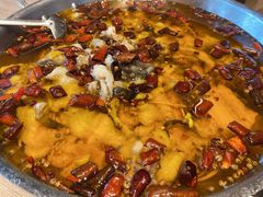 水煮鱼-日进一片海.生腌海鲜火锅.宵夜烧烤(三里屯总店)