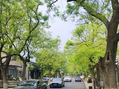 -香山公园
