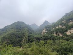 -大岭沟猕猴桃谷风景区