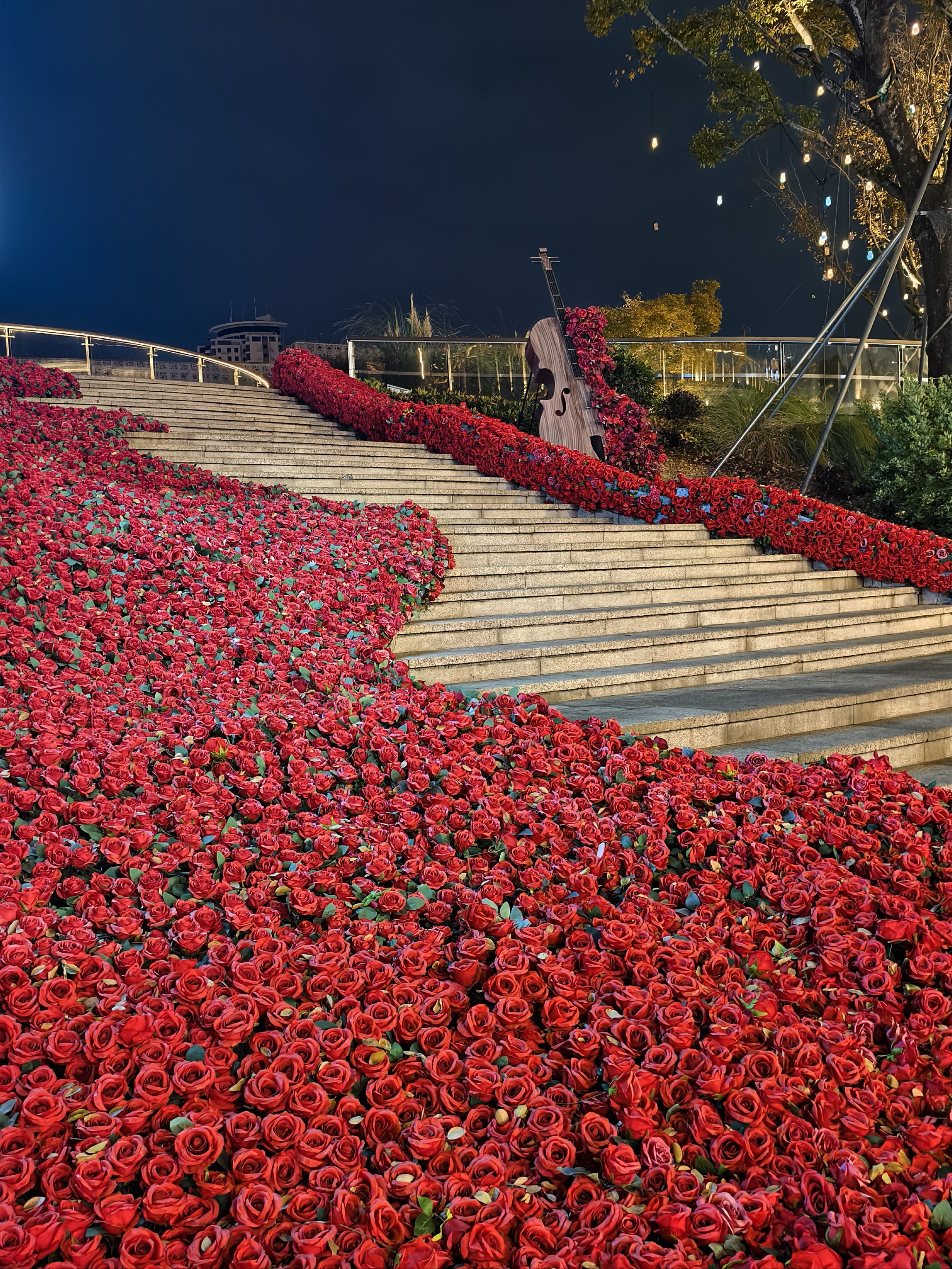 玫瑰花海,我在等你
