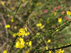 -杭州城北体育公园