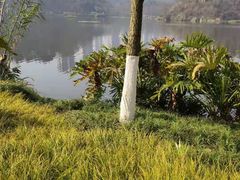 -重庆彩云湖湿地公园