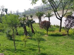 -枫香湖儿童公园