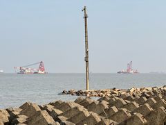 -上海滨江森林公园