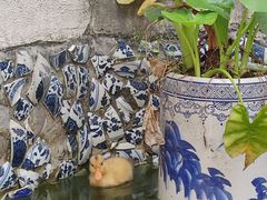 -她说户外烧烤团建(西湖店)