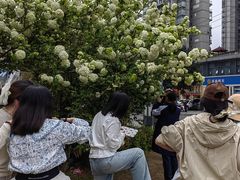 -大龙山(地铁站)