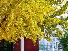 -辽宁大学(崇山校区)