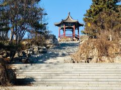 -大兴滨河森林公园
