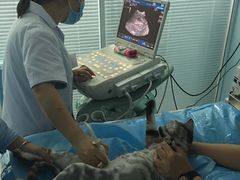 -纳吉亚猫专科动物诊疗中心(蒋宅口分院)