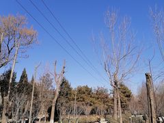 -太阳宫公园