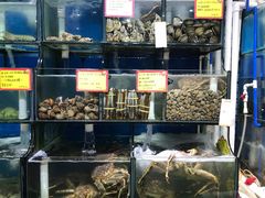 水产区-蚝专家(北滘店)