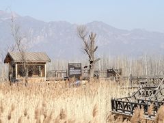 -野鸭湖国家湿地公园