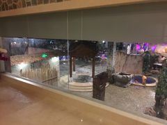 -泉城欧乐堡戏水湾艺术养生温泉