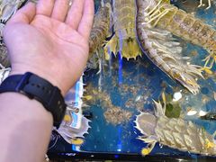 -吴记富苑(朝阳店)