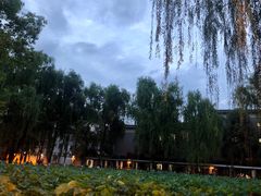 -四川大学(望江校区)