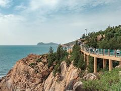 -广东惠东海龟国家级自然保护区