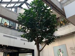 -大树餐厅(红旗街万达店)