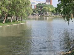 -华东政法大学(松江校区)