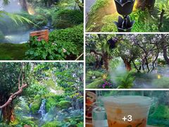 -Chom Cafe and Restaurant