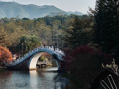 -田野绿世界