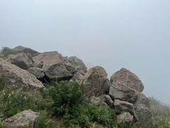 -白草畔自然风景区