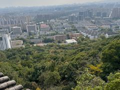 -杭州半山国家森林公园