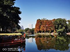 -荔湾湖公园