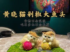 景观位-黄晓猫剁椒大鱼头(海岸城店)