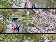 -徐家汇公园