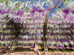 -云漫湖生态度假公园