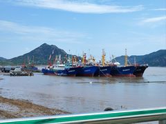 -花岙岛