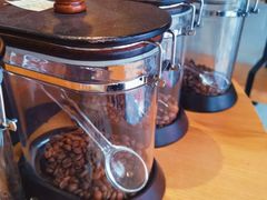 -猫屎咖啡(日月光中心广场店)