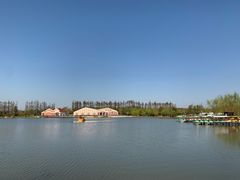 -上海长兴岛郊野公园