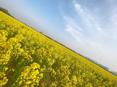 -汉长安城未央宫国家考古遗址公园