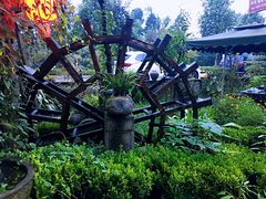 -青城甲(青城山店)