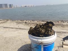 -碧海金沙